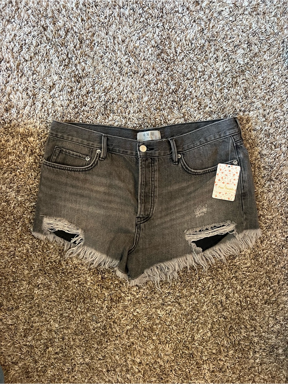 Free People Washed Gray Frayed Hem Denim Shorts